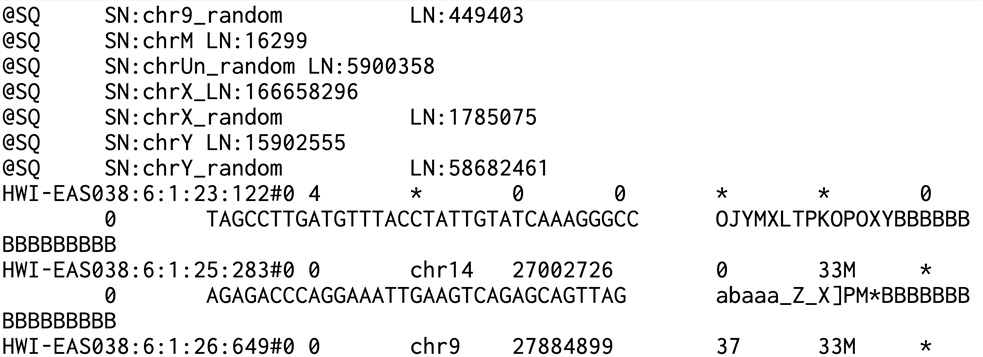 result image